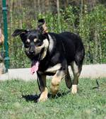 Masky, Masky,