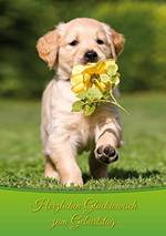 Lieber Gringo, zu Deinem heutigen Feste von mir das Allerbeste! Und außerdem, das ist ganz klar,ein wunderschönes neues Jahr mit Deinen Kumpels in Ungarn. Lieber Gringo, zu Deinem heutigen Feste von mir das Allerbeste! Und außerdem, das ist ganz klar,ein wunderschönes neues Jahr mit Deinen Kumpels in Ungarn.
